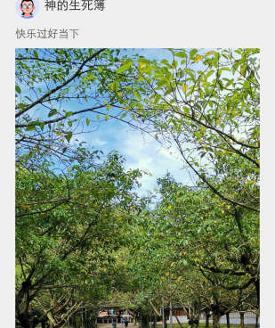 一库视频手机软件合集