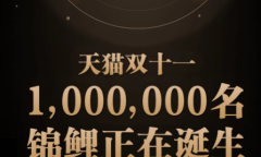 天猫双11拍拍乐活动一览