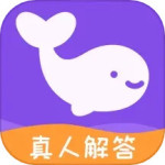 准准真人版