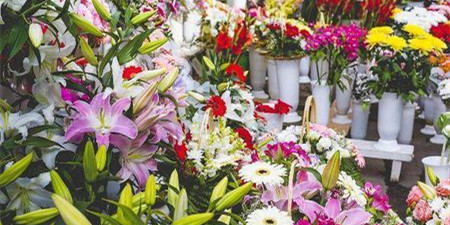 买花便宜的app合集