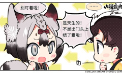 山海镜花霜降礼包码分享