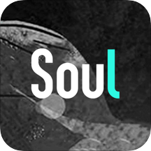 soul2022