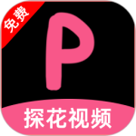 探花视频