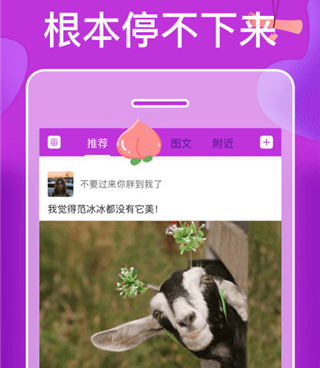 类似觅语交友的手机软件合集