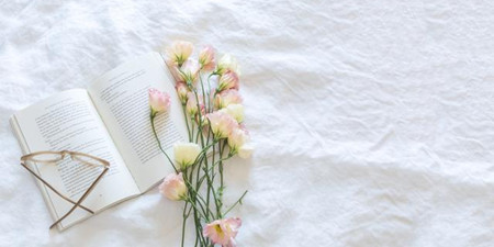 无广告免费阅读平台