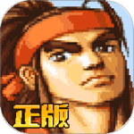 三国战纪OPPO版