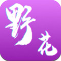 野花短视频福利版