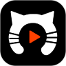 猫咪视频极速版