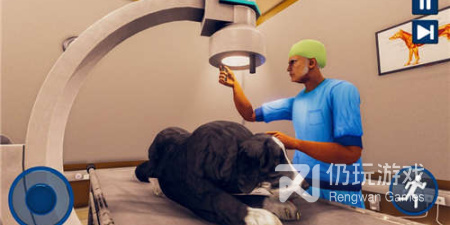 模拟宠物医生手游排行榜