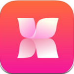 花芯直播免费版