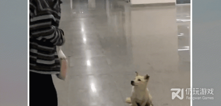 跟好看短剧一样的手机软件合集