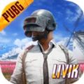 PUBG国际服