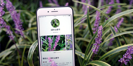 拍照识植物手机软件合集