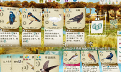 Steam每日特惠：《展翅翱翔》新史低40元