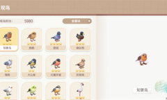 心动小镇鸟类出现位置及条件分享