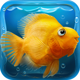 口袋水族馆
