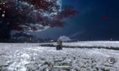 魂之追梦神宠和普通灵宠区别教程