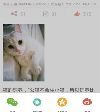 类似语玩的手机软件合集