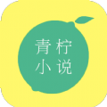 青柠小说极速版