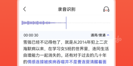 会议录音转文字手机软件排行榜