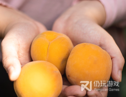 类似吆呵短视频的手机软件合集