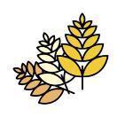 麦田任务最新版