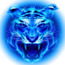 四虎影音(免费看片)