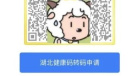 武汉微信健康码变灰了是怎么回事攻略