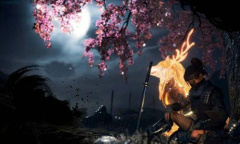 《仁王2》比翼鸟守护灵介绍