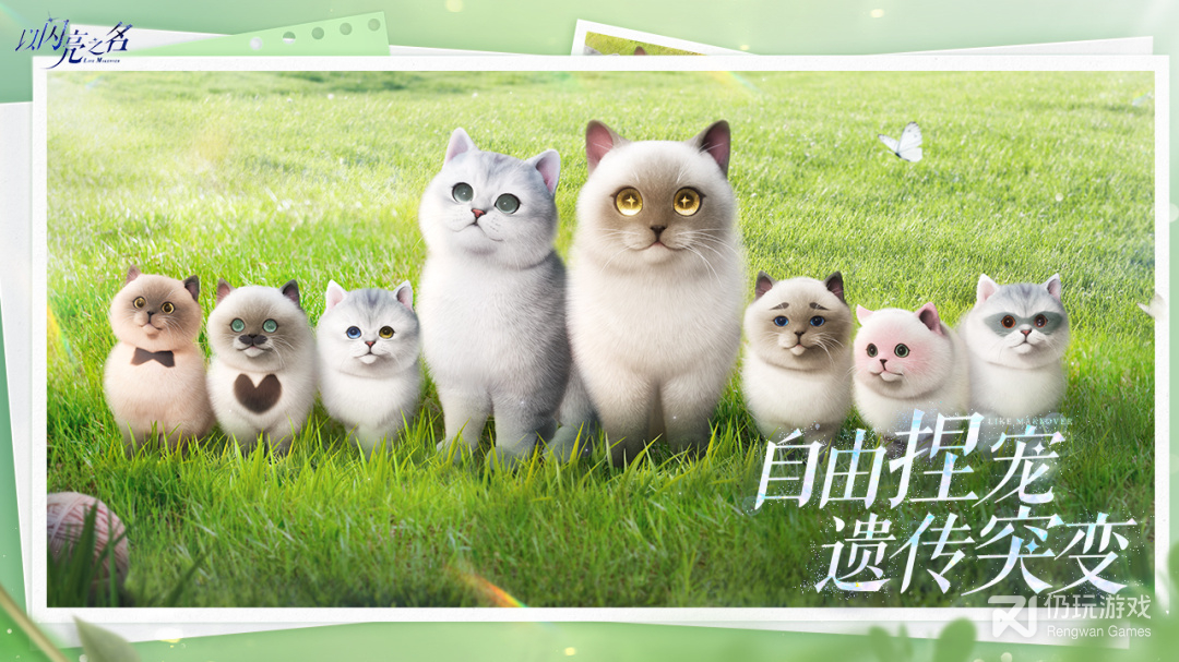 以闪亮之名测试版