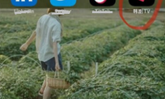 韩剧tv看不了解决方法