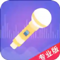 语聊音频变声器最新版