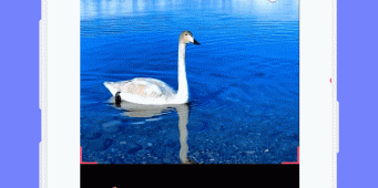 能免费看完整无删减蛇蝎美人的