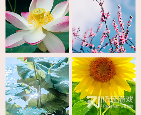 完蛋我被美女包围了历史版本手游合集