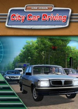 城市汽车驾驶