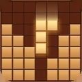 block puzzle sudoku