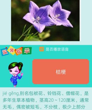 看图识花手机软件合集