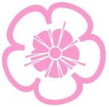 樱花私人电影院纯净版