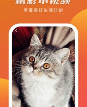 和种种视频一样的手机软件合集