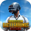 BETA PUBG MOBILE体验服