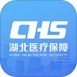 湖北智慧医保最新版