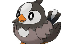 《宝可梦：明亮珍珠晶灿钻石》姆克鸟宝可梦图鉴一览