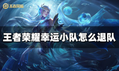 王者荣耀幸运小队退队攻略