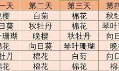 《阴阳师妖怪屋》式神祈愿谜底怎么玩2023