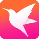 迅雷直播免费版