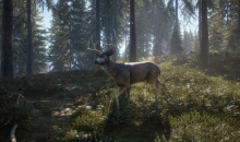 Steam每日特惠：《猎人：荒野的呼唤》新史低售价14元