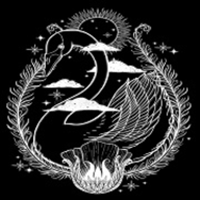 天鹅影视精简版