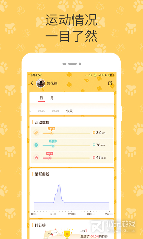 陪彼宠物