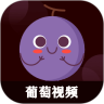 葡萄视频高清版