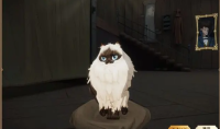 哈利波特魔法觉醒布偶猫获得方法